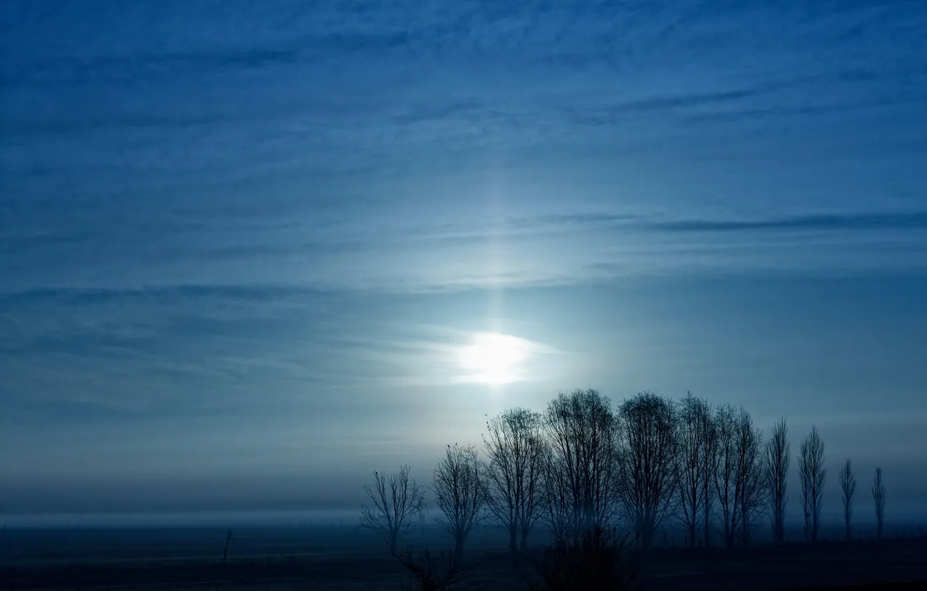 Фото обои туман, Луна, Аргентина, пампасы