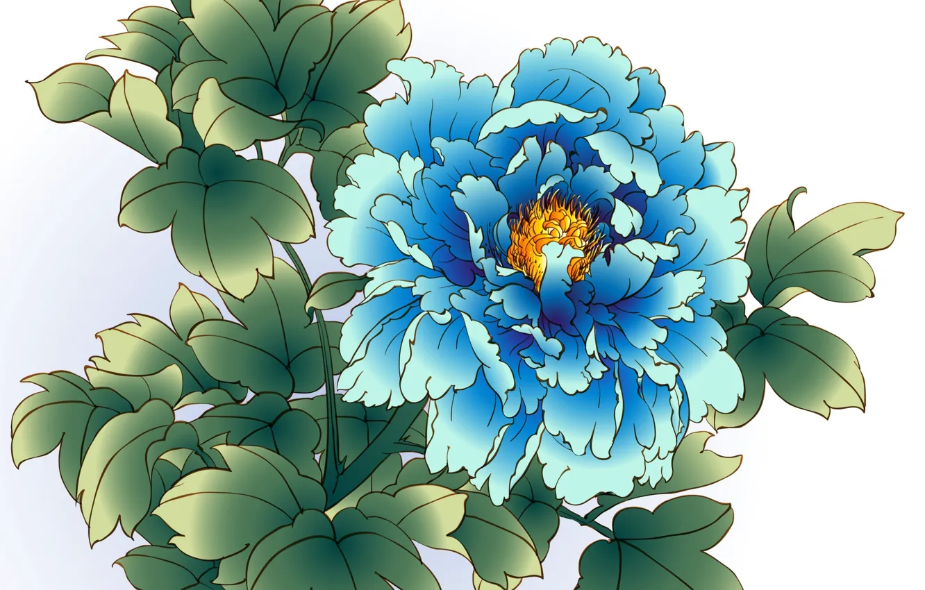 Фото обои цветок, белый фон, пион, голубой пион