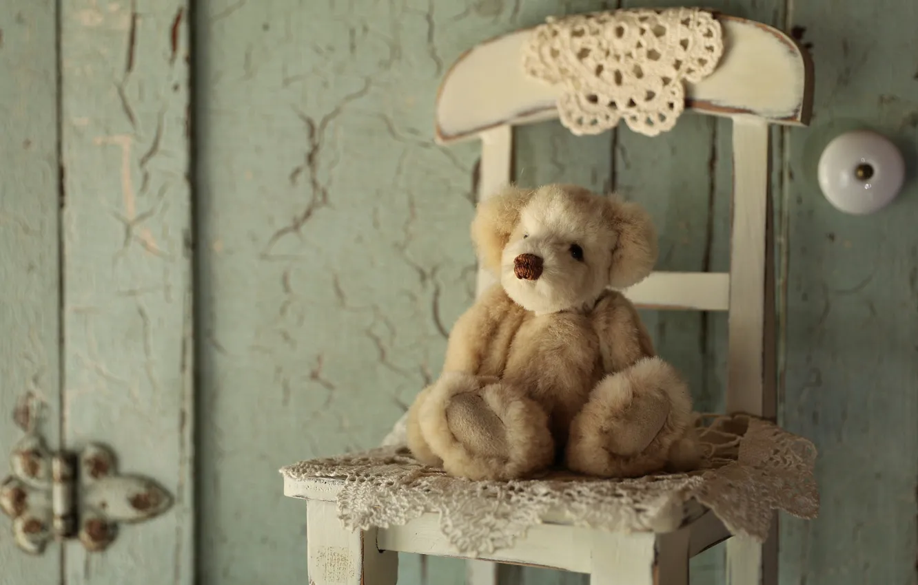 Фото обои игрушка, медведь, стул, плюшевый мишка