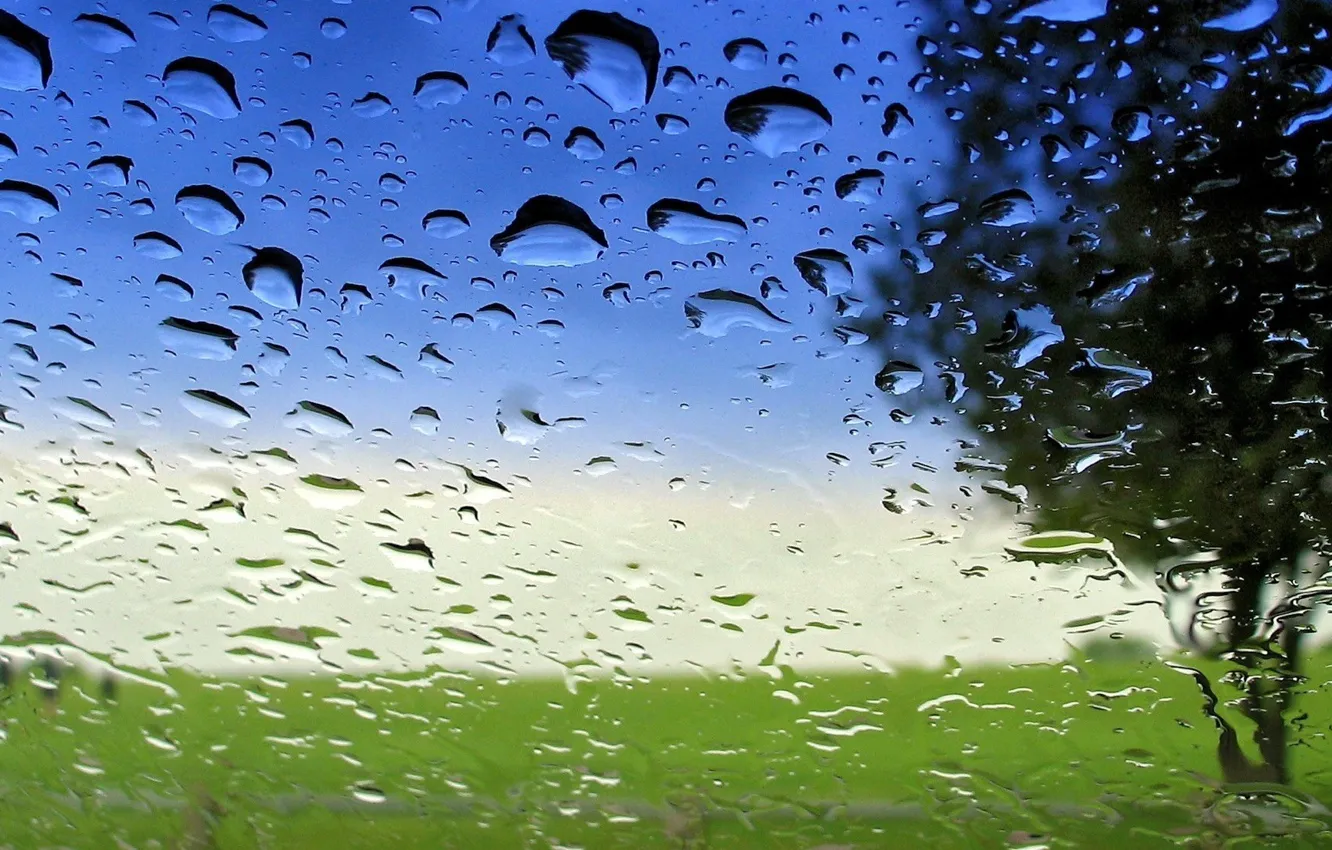 Фото обои стекло, вода, прозрачность, капли, после дождя, macro
