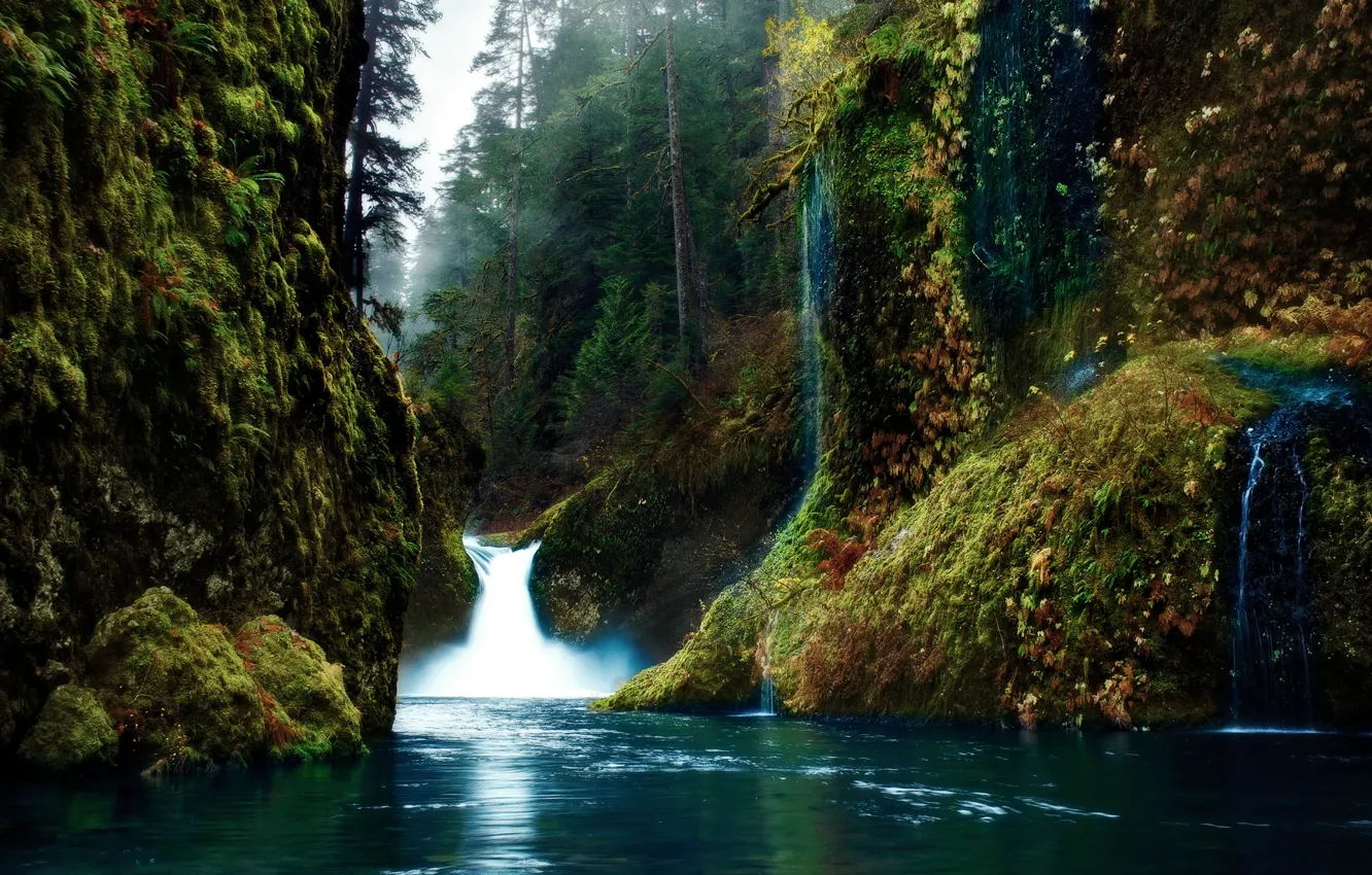 Фото обои лес, природа, река, водопад