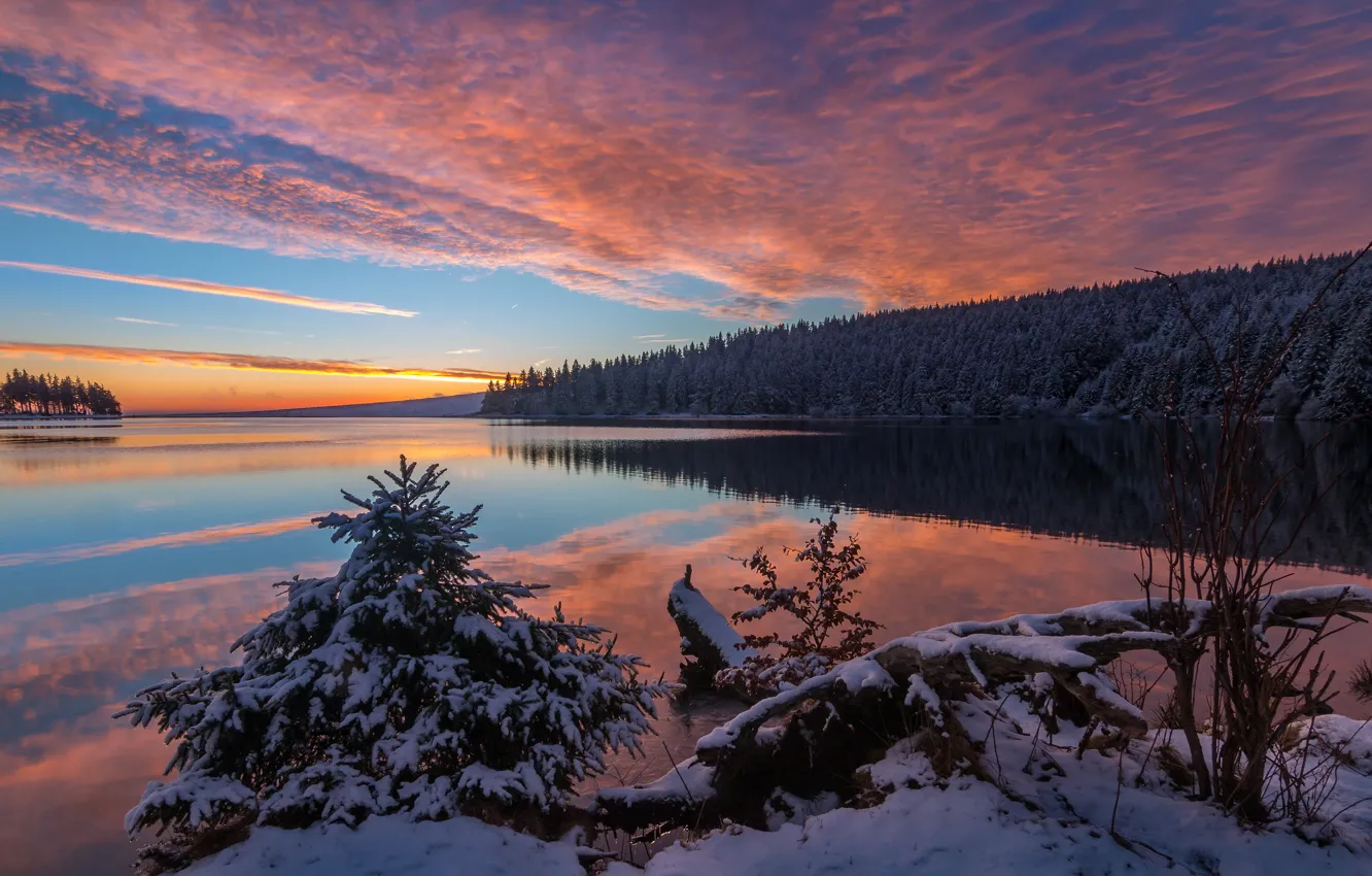 Фото обои зима, лес, небо, облака, снег, закат, ветки, озеро