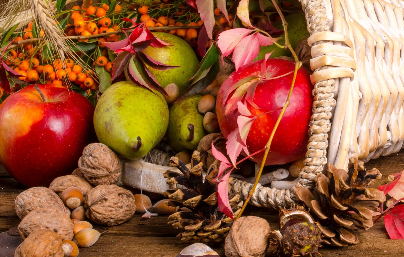 Фото обои фрукты, орехи, корзинка, шишки, рябина, дары осени