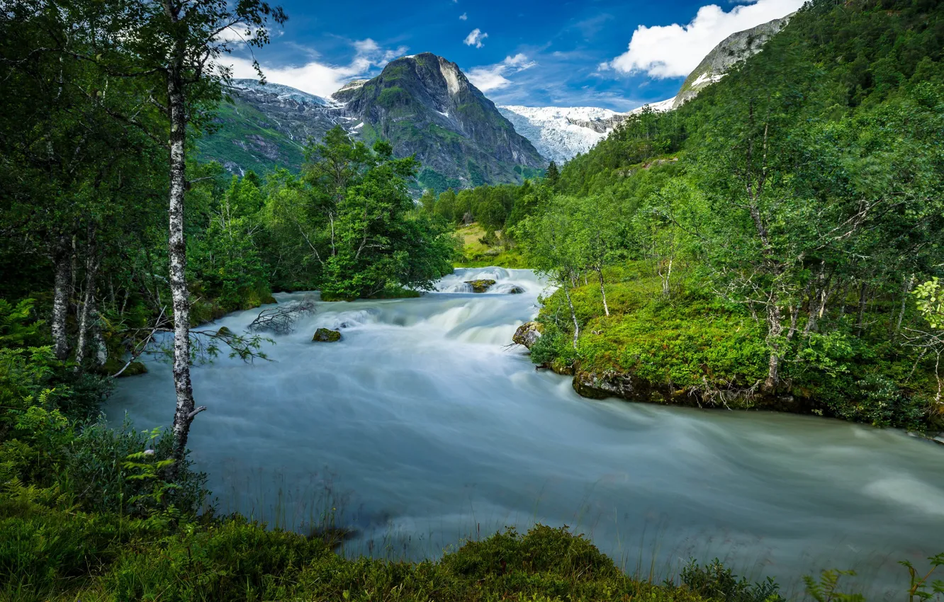 Фото обои лето, деревья, горы, река, Норвегия