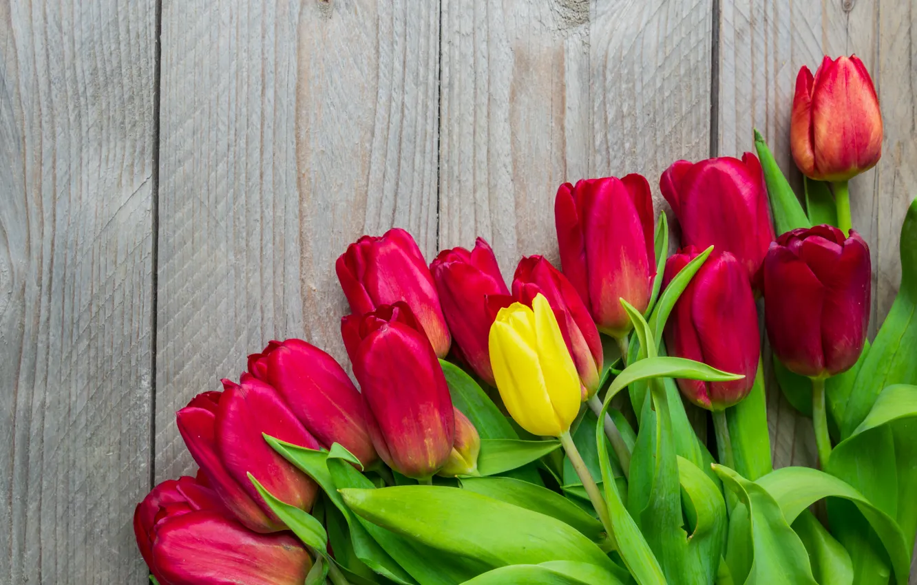 Фото обои цветы, букет, colorful, тюльпаны, red, wood, flowers, tulips