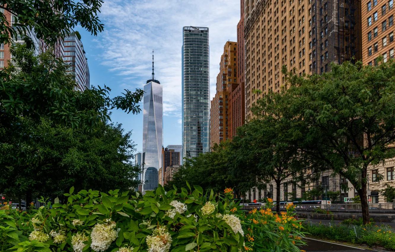Фото обои деревья, цветы, город, парк, улица, здания, Нью-Йорк, небоскребы