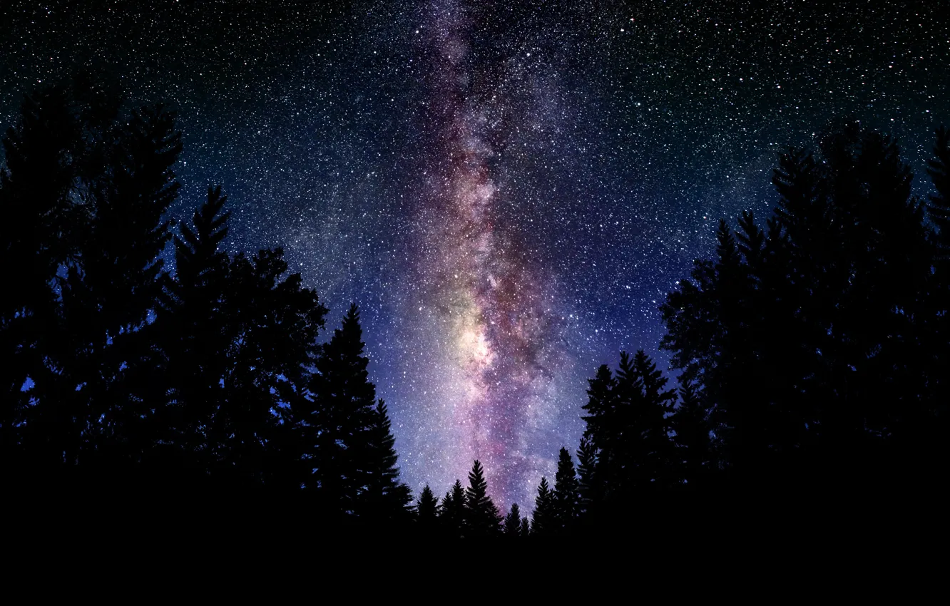 Фото обои лес, небо, космос, ночь, пейзажи, звёзды, млечный путь
