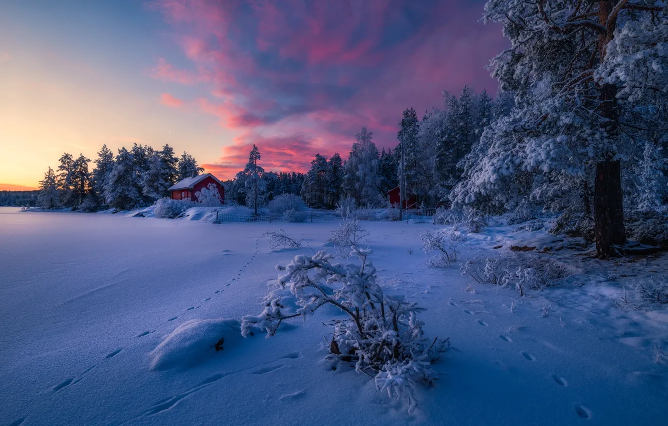 Фото обои зима, лес, снег, природа, домик