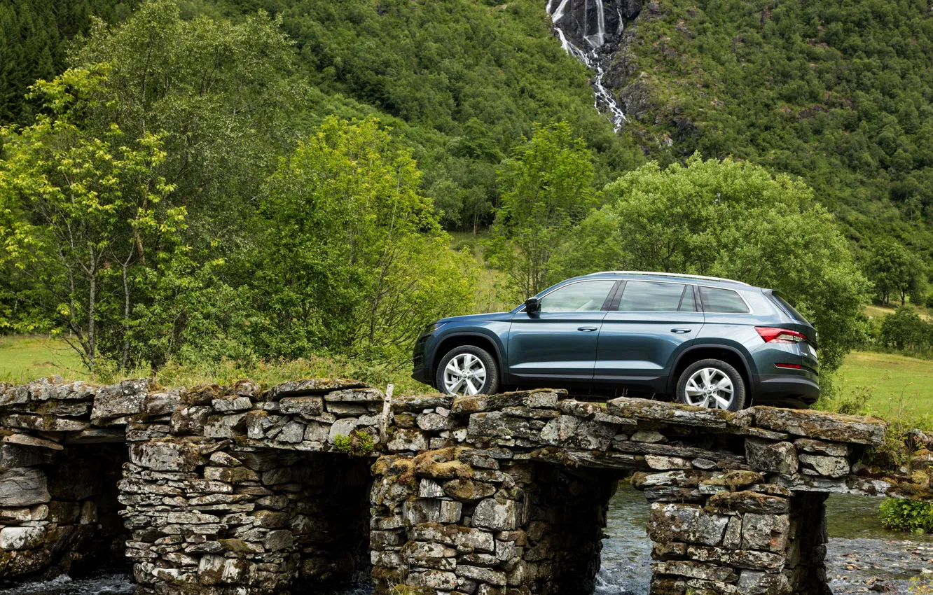 Фото обои вода, мост, растительность, вид сбоку, SUV, Škoda, Skoda, 2016