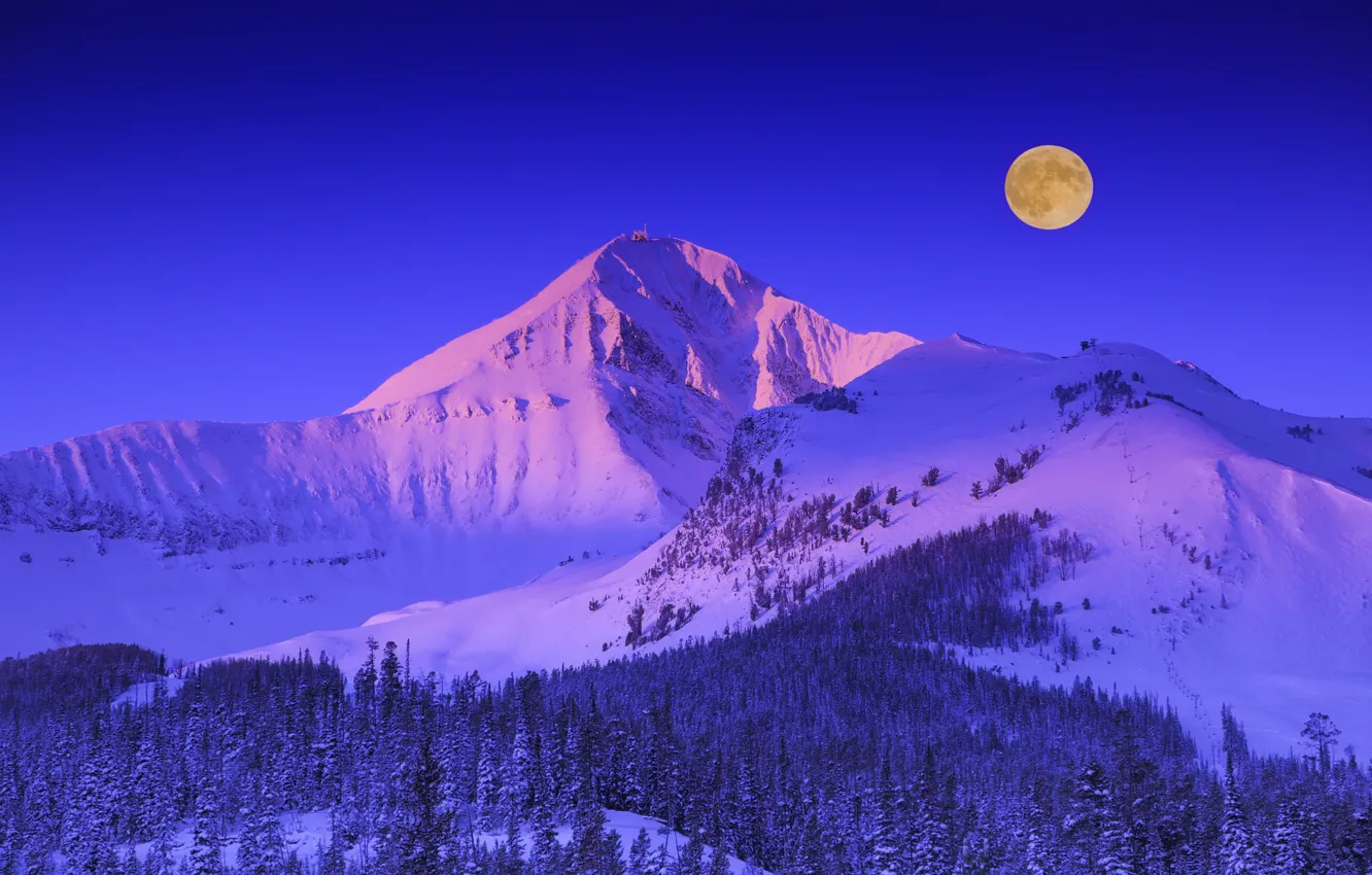 Фото обои зима, лес, небо, снег, деревья, горы, луна, Монтана