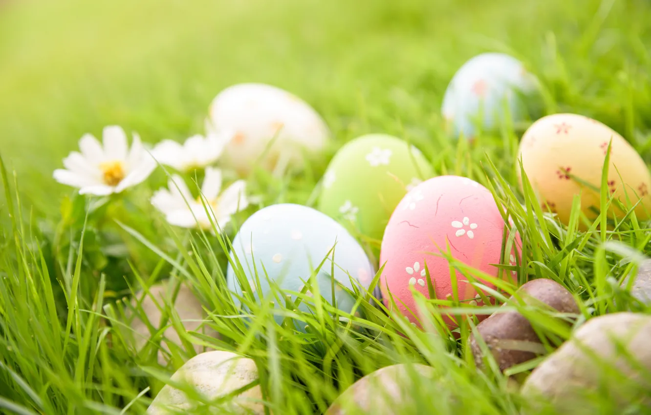 Фото обои трава, цветы, яйца, Пасха, happy, flowers, eggs, easter