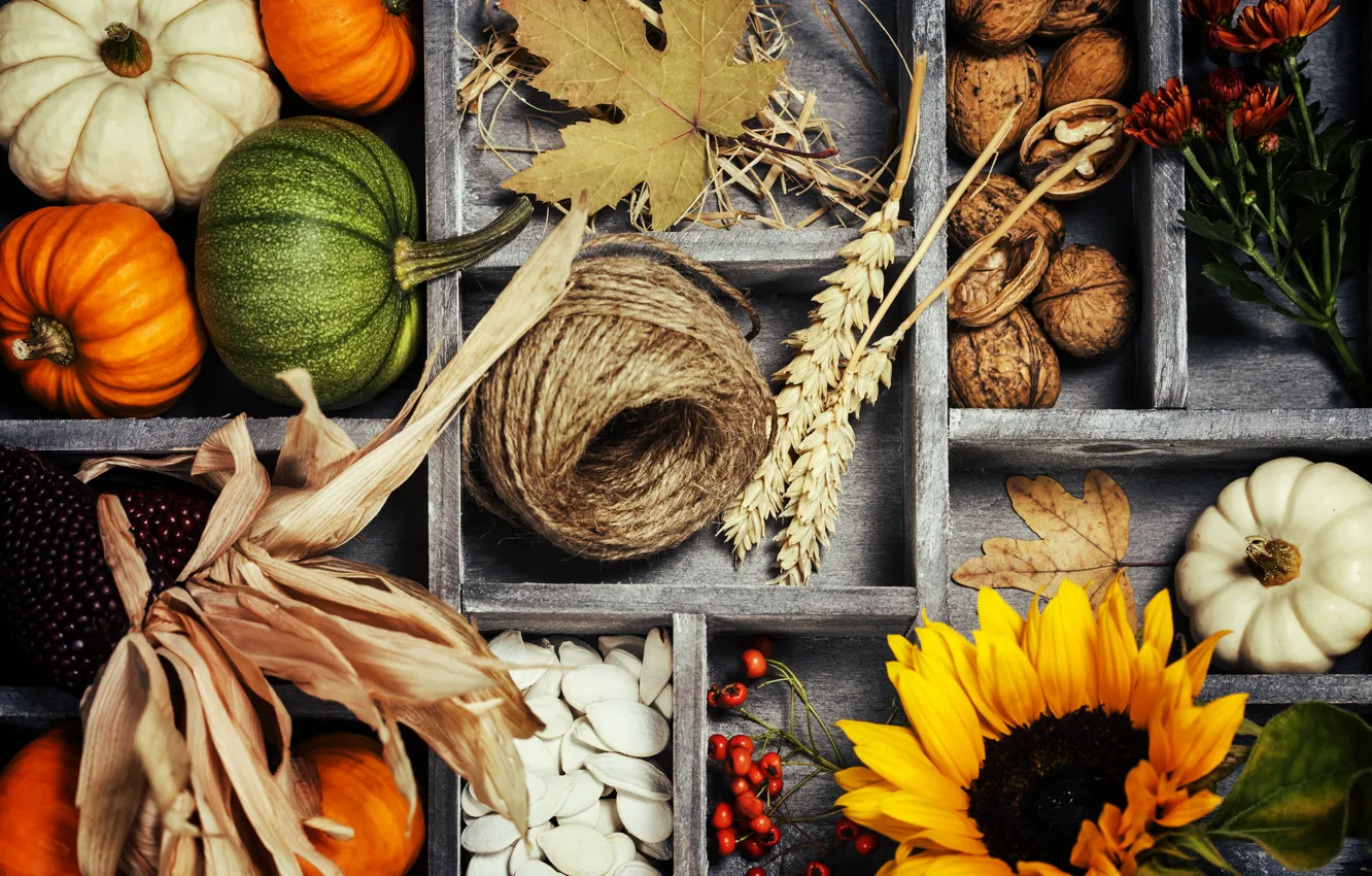 Фото обои осень, листья, корзина, урожай, тыква, овощи, autumn, still life