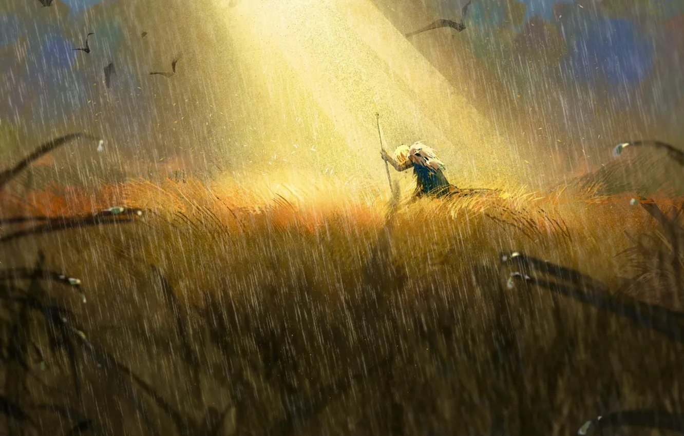 Фото обои трава, свет, птицы, дождь, мужчина, Fire Emblem, Dimitri Alexandre Blaiddyd
