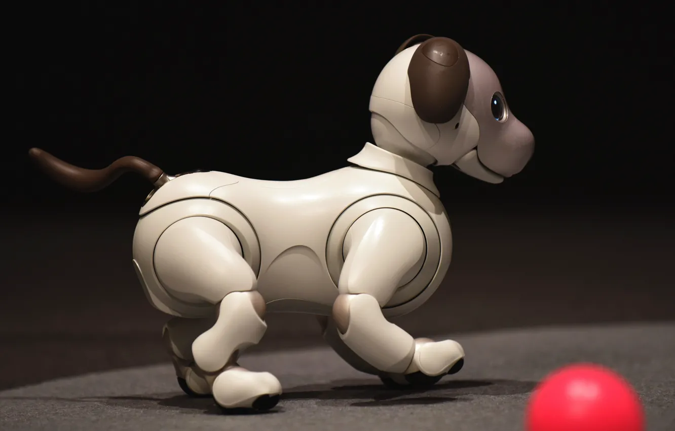 Фото обои морда, темный фон, игрушка, мяч, механизм, робот, собака, щенок