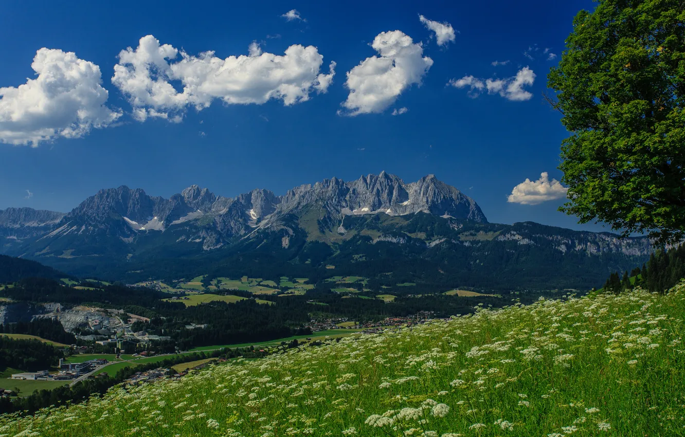 Фото обои горы, дерево, Австрия, Альпы, луг, панорама, Austria, Alps