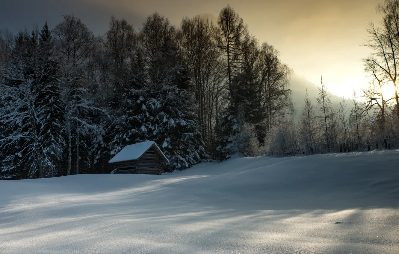 Фото обои зима, свет, снег, дом
