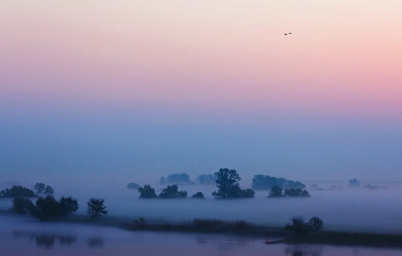 Фото обои небо, туман, река, утро