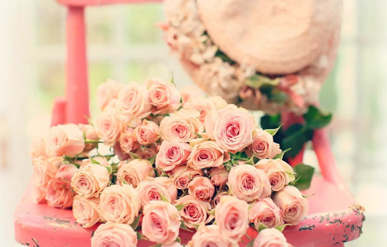 Фото обои цветы, розы, rose, pink, flowers, roses