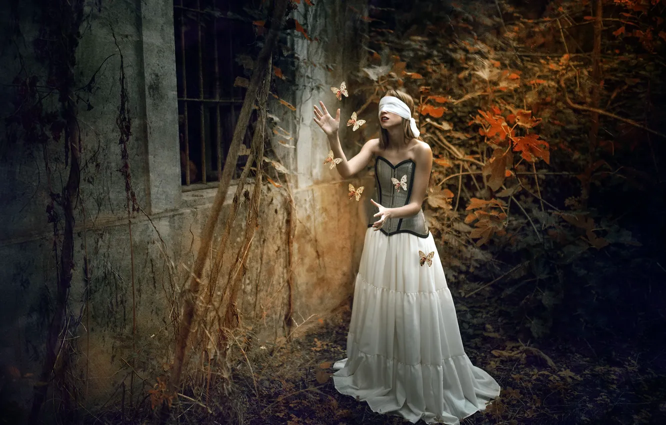 Фото обои девушка, бабочка, повязка