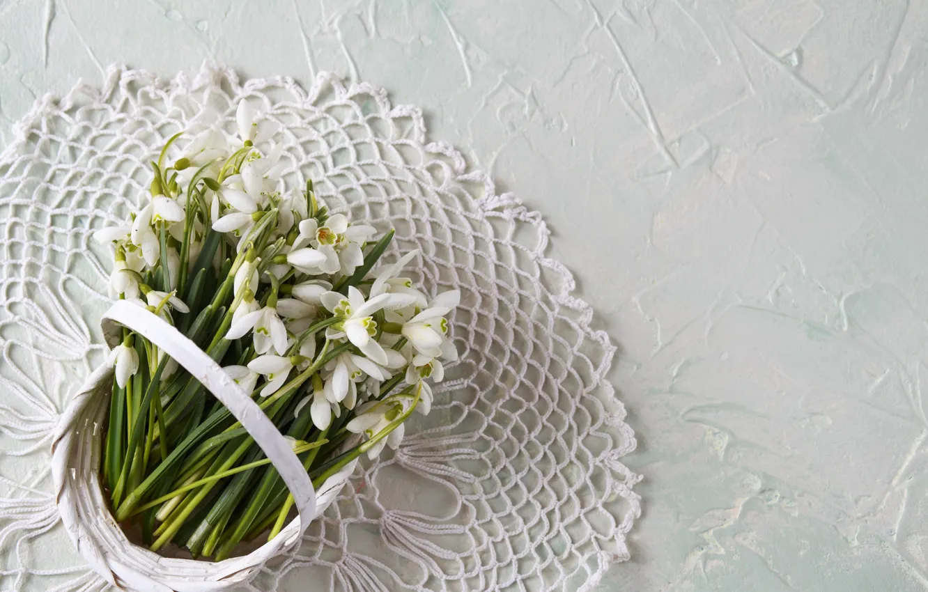 Фото обои цветы, корзина, подснежники, white, flowers, basket, snowdrops