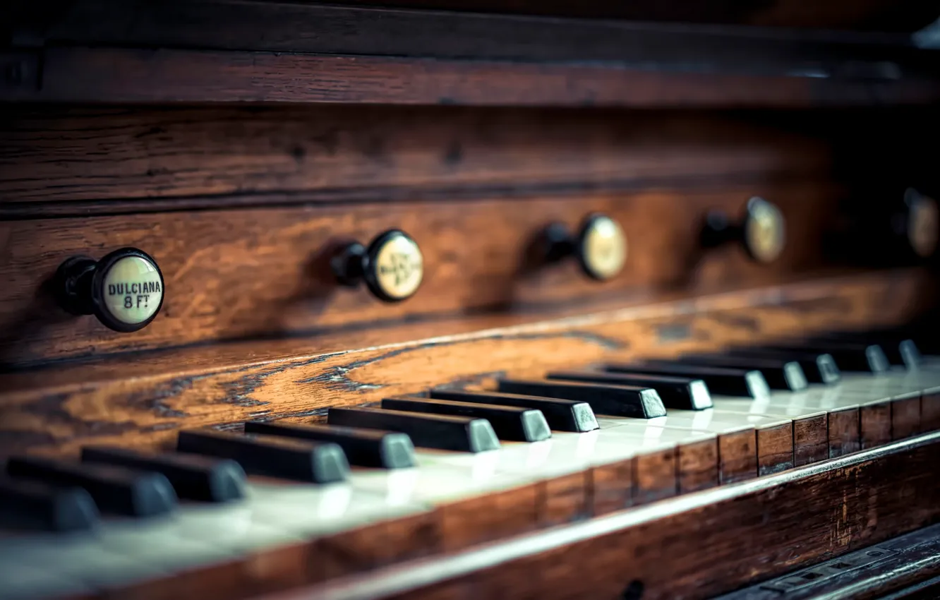 Фото обои макро, клавиши, церковный орган, church organ