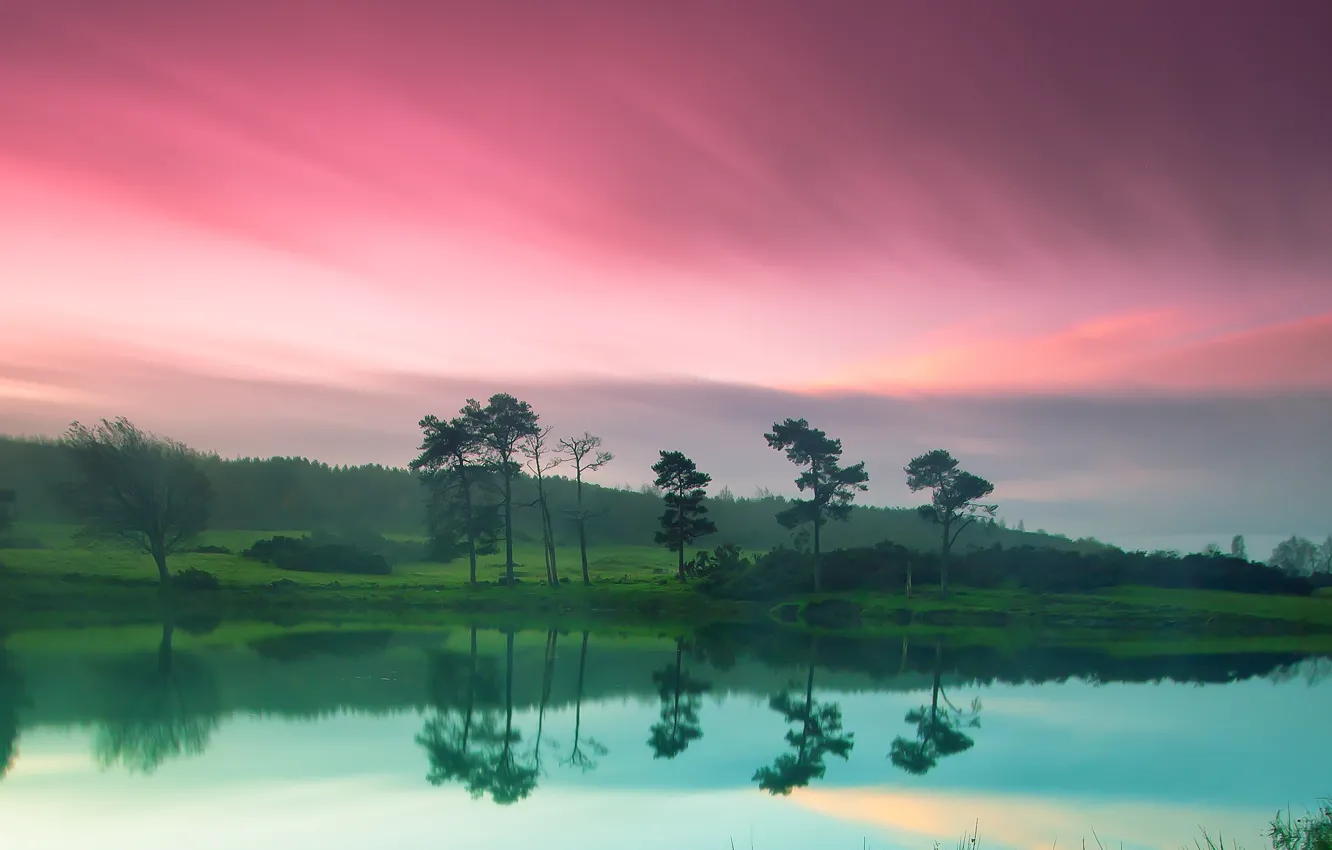Фото обои небо, природа, зеленый, река, берег, розовое