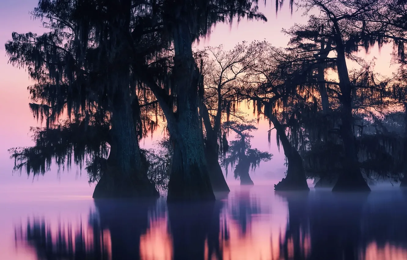 Фото обои вода, отражения, деревья, природа, туман, озеро, река, вечер