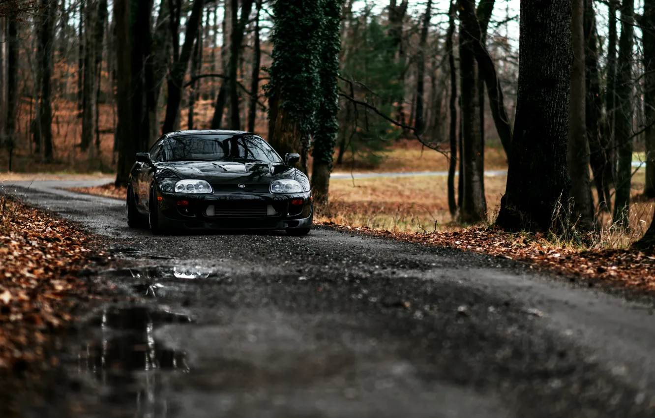 Фото обои Макро, Дорога, Осень, Лес, Toyota, Supra, 1993, Тойота