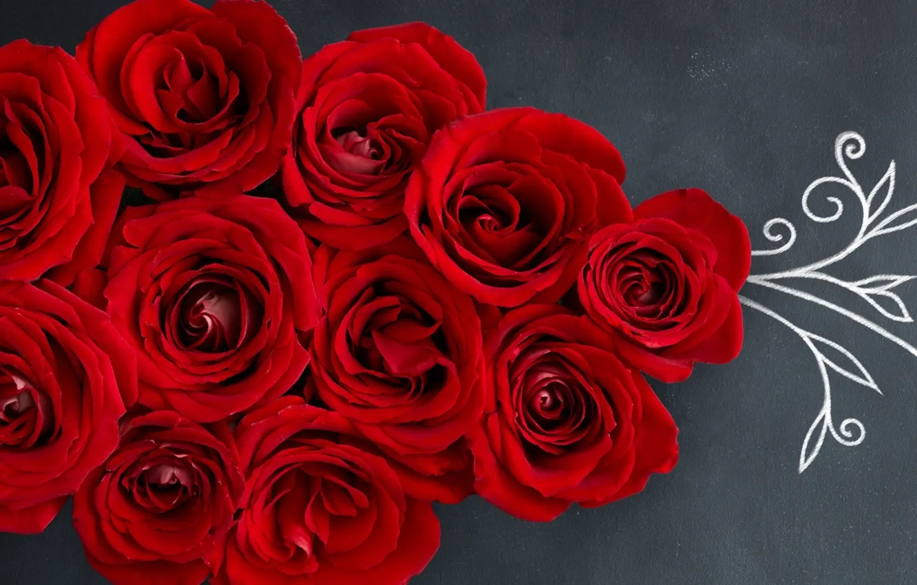 Фото обои цветы, розы, красные, Red, бутоны, romantic, roses