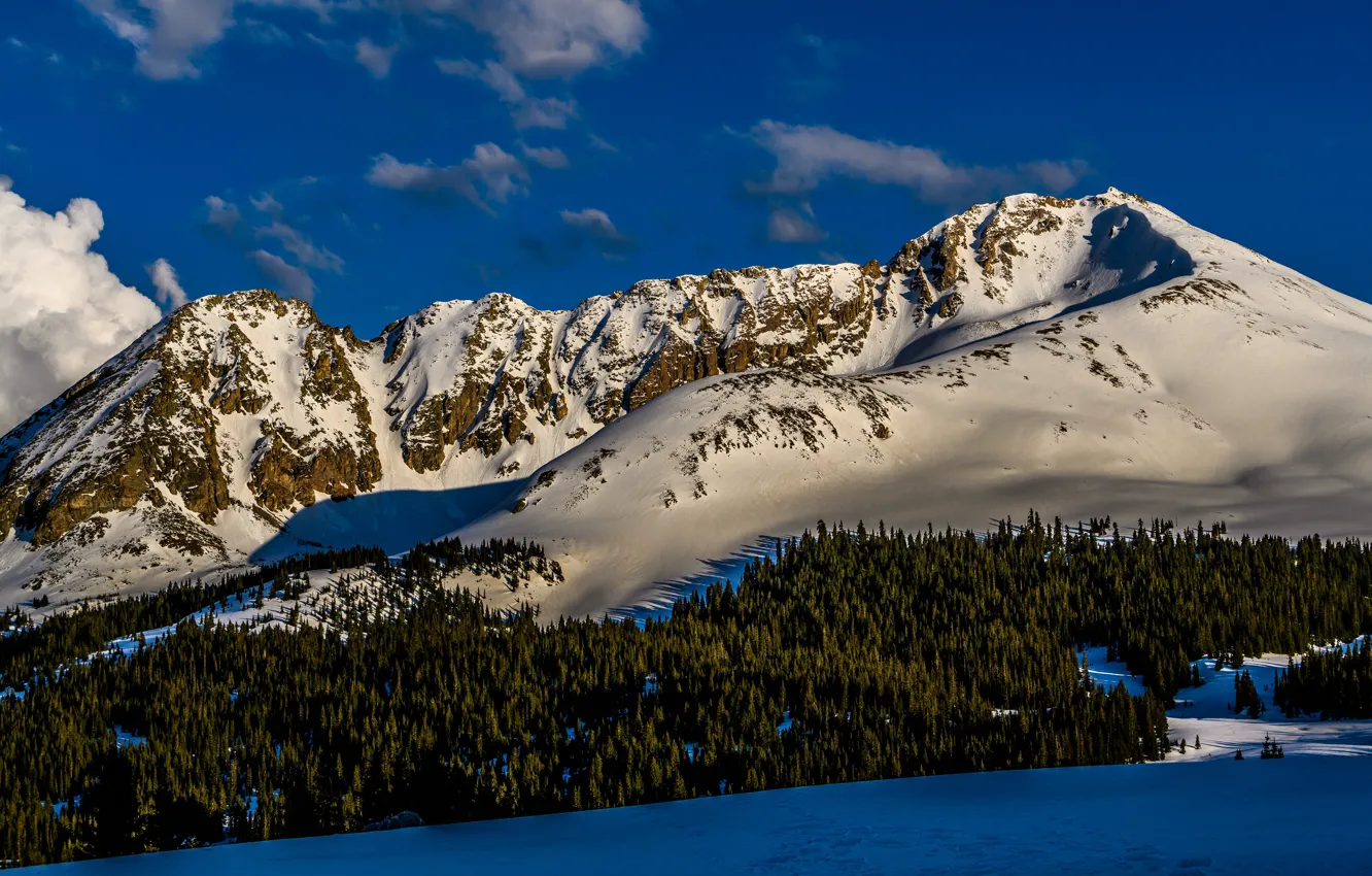 Фото обои зима, лес, облака, свет, снег, горы, синева, склоны