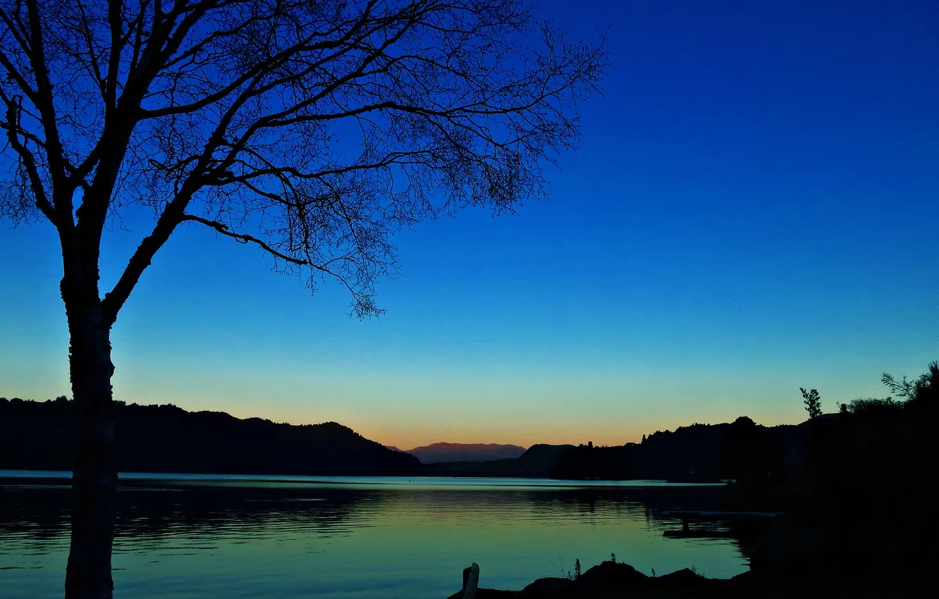 Фото обои пейзаж, ночь, озеро, дерево, силуэты