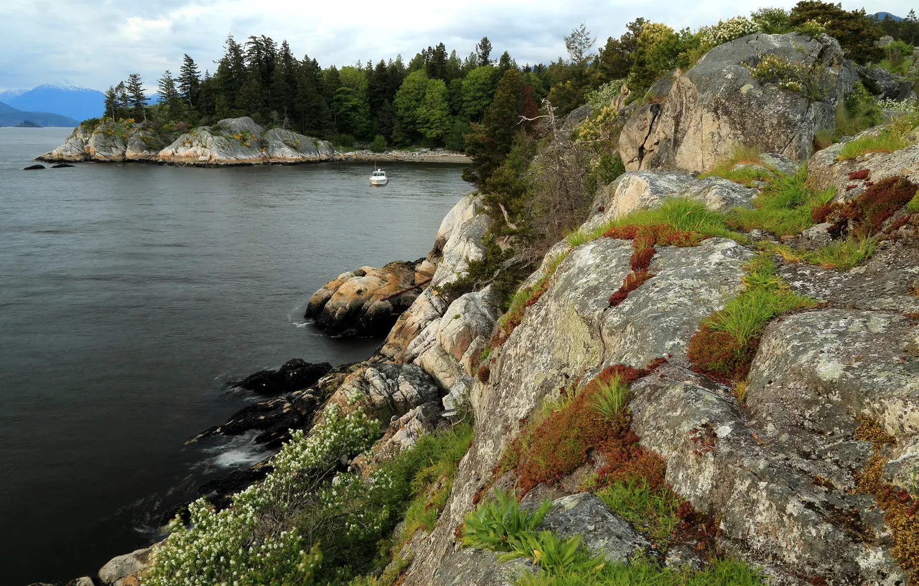 Фото обои трава, деревья, камни, побережье, Канада, катер, залив, Ванкувер