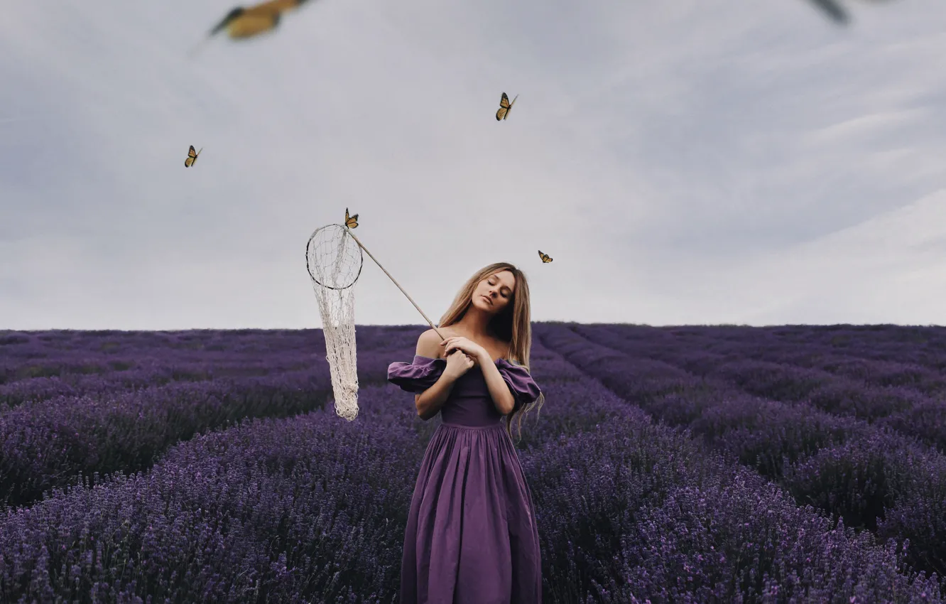 Фото обои поле, девушка, бабочки, настроение, сачок, лаванда