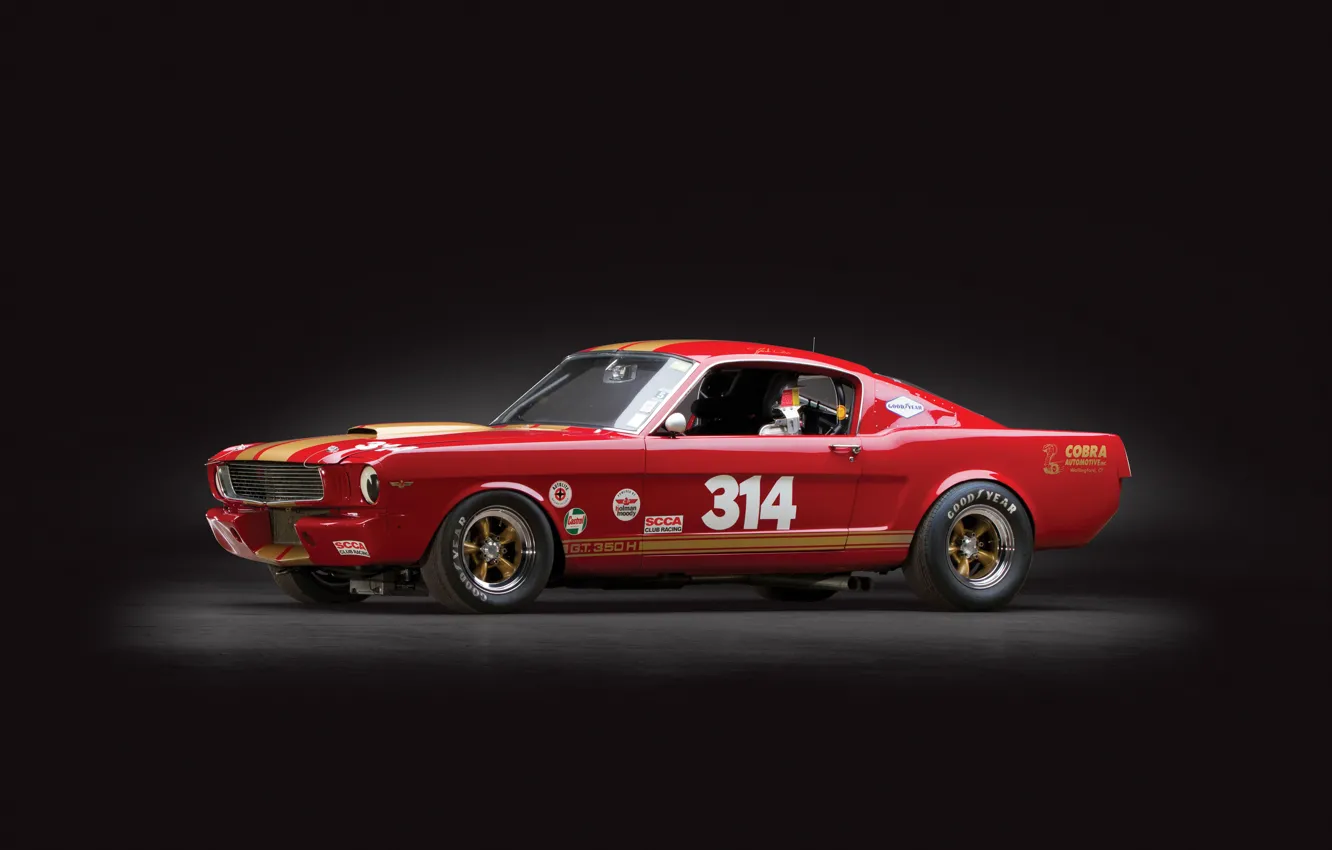 Фото обои shelby, ford mustang, race car, gt350h