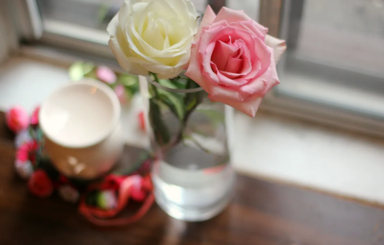 Фото обои цветы, розовая, розы, белая