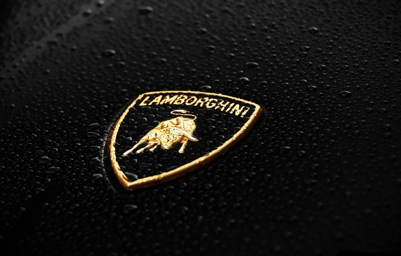Фото обои капли, чёрный, значок, Lamborghini, Ламборджини, Ламбо, эмблема, Ламборгини
