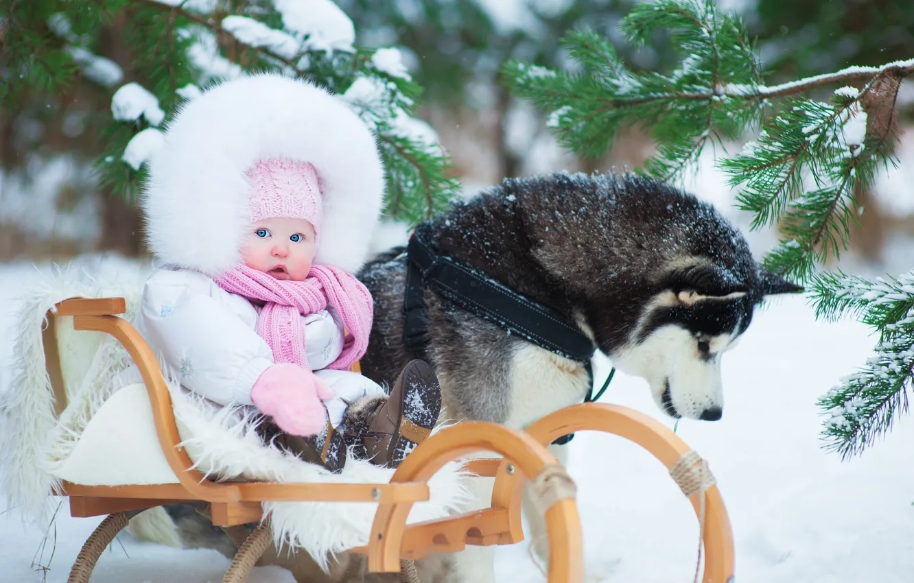 Фото обои trees, winter, snow, child, childhood, kid, kids