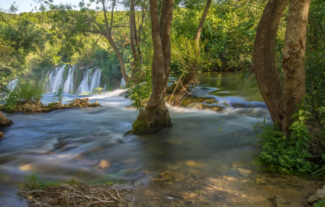 Фото обои деревья, река, водопад, Босния и Герцеговина, Bosnia and Herzegovina, Kravice Falls, Trebižat river, Водопад Кравице