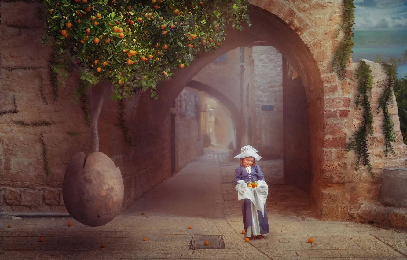 Фото обои дерево, апельсины, арка, ребёнок, Orange tree