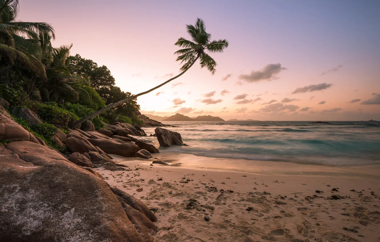Фото обои пляж, закат, пальмы, океан, берег