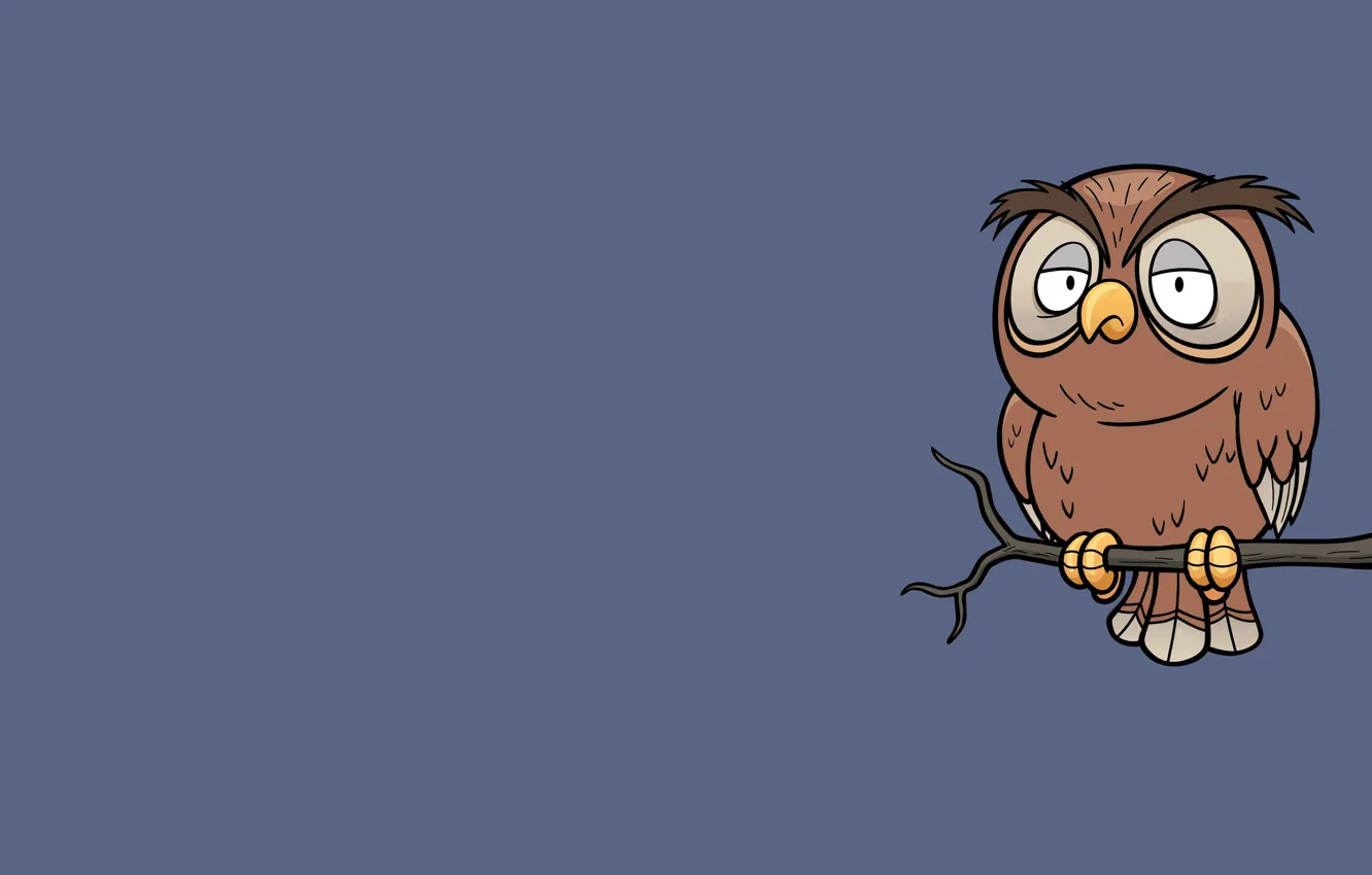 Фото обои сова, птица, минимализм, ветка, owl
