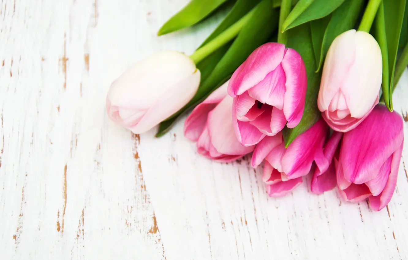 Фото обои белый, стол, фон, букет, тюльпаны, нежные, розовые, wood