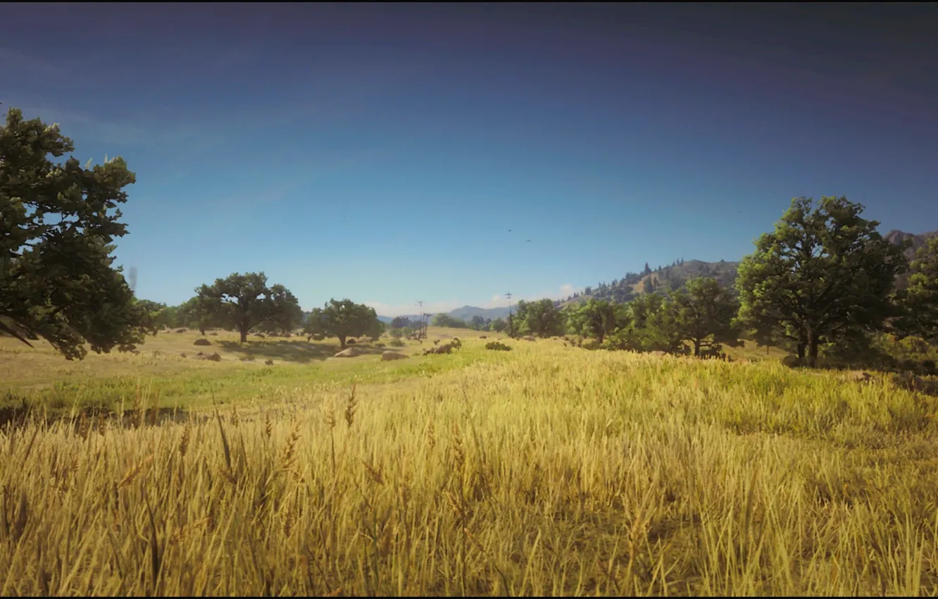 Фото обои Landscape, Game, Summer, prairie, Natur, Red Dead Redemption 2, Xbox One X, RDR2