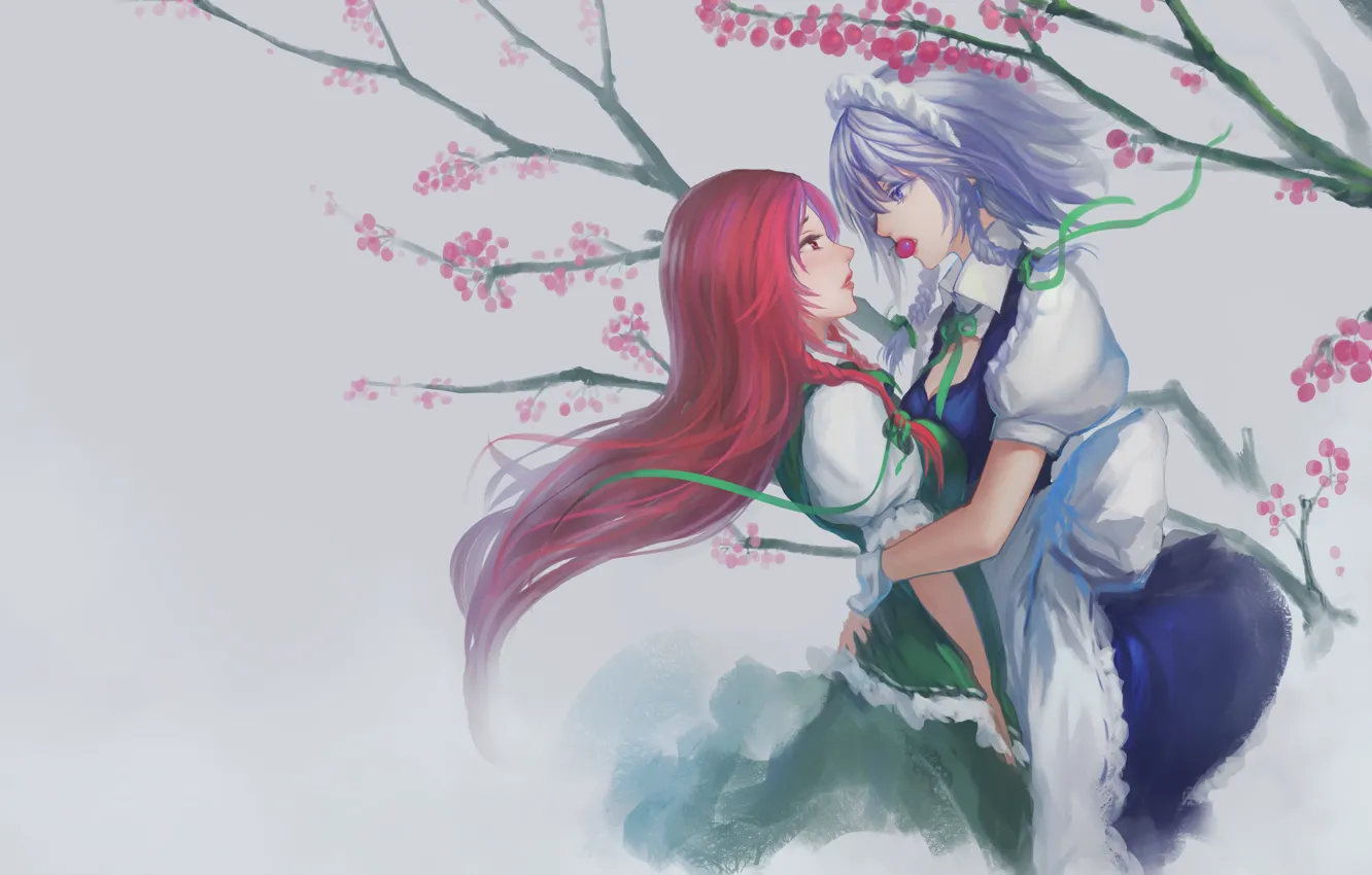 Фото обои девушки, длинные волосы, touhou, izayoi sakuya, hong meiling, тохо