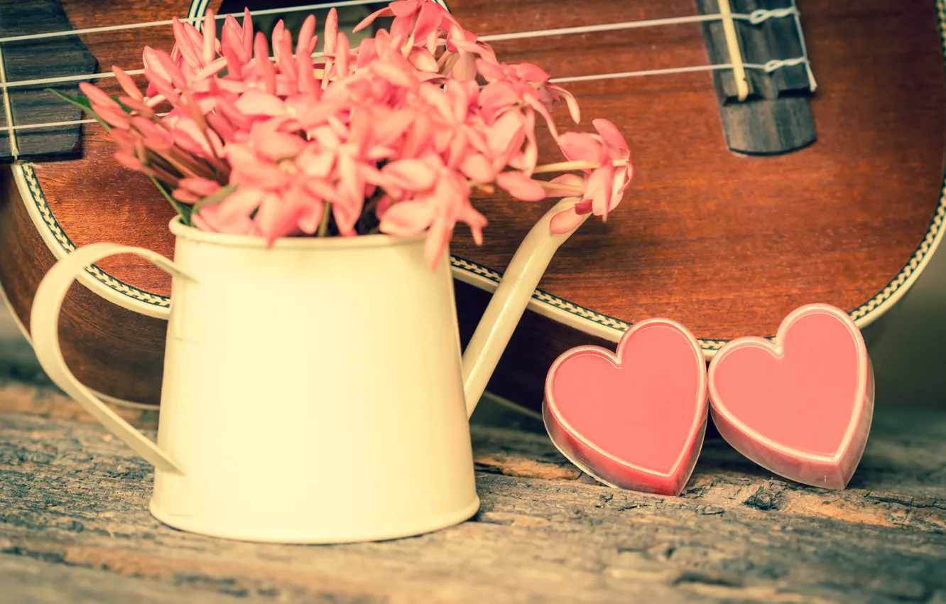 Фото обои цветы, сердце, love, vintage, heart, romantic, укулеле