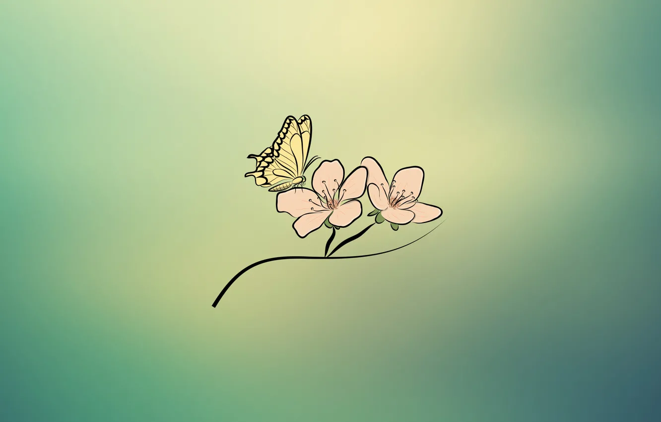 Фото обои цветок, бабочка, иллюстрация