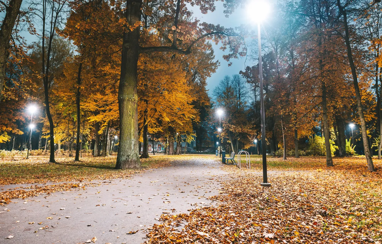 Фото обои Lietuva, Kaunas, ruduo