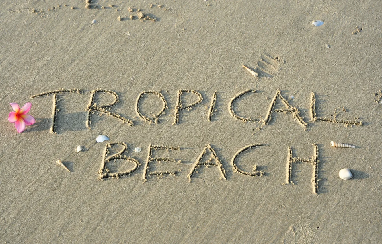 Фото обои песок, пляж, beach, sand, tropical
