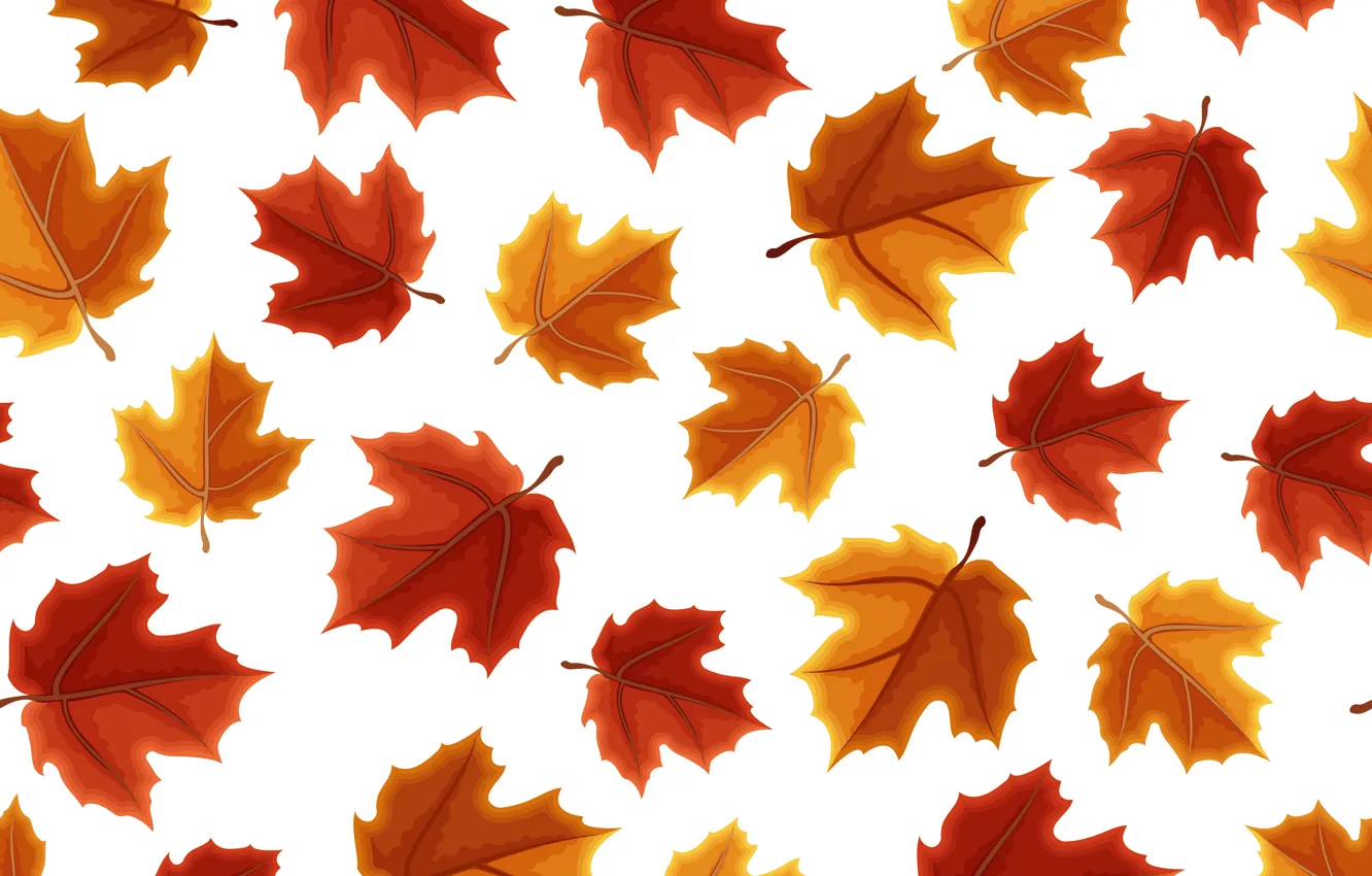 Фото обои осень, листья, фон, colorful, клен, background, autumn, pattern