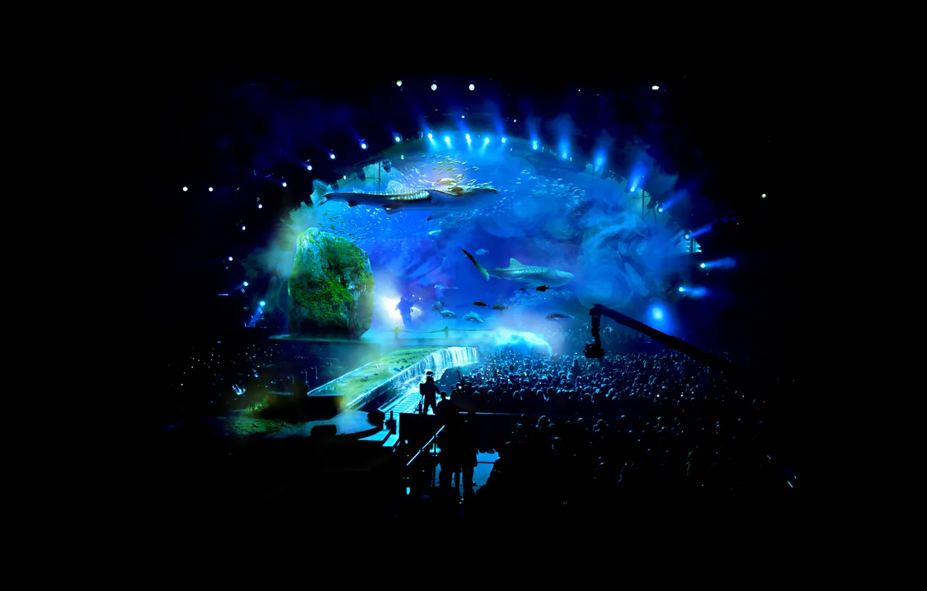 Фото обои music, people, crowd, blues, Stefan Lührmann, aquarium, stage